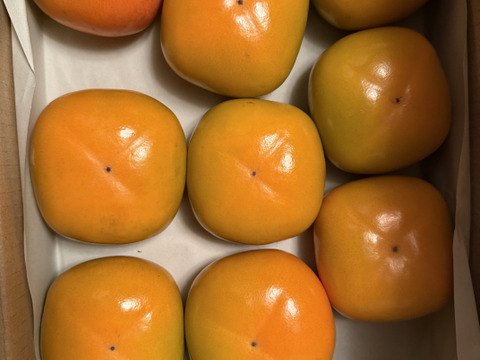 ジュワッ！ 甘っ！ 平核無（ひらたねなし）柿🟠✨🍂　お試しパック 6〜9個入り Mサイズ以上 11月上旬頃より順次発送