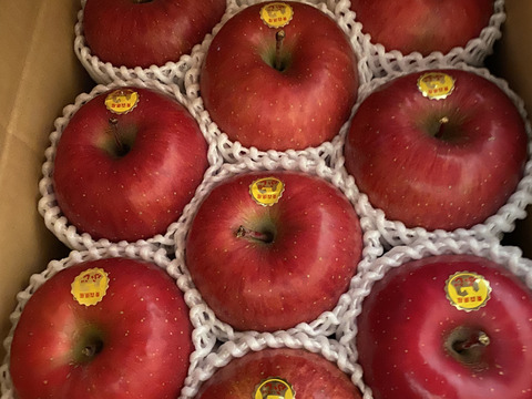 青森県産りんご  糖度１４%以上 「冬ギフト」   大人気 希少雪完熟りんご ３kg９個