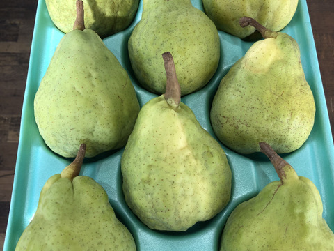 ラ・フランス3kg8玉　追熟し完了後発送