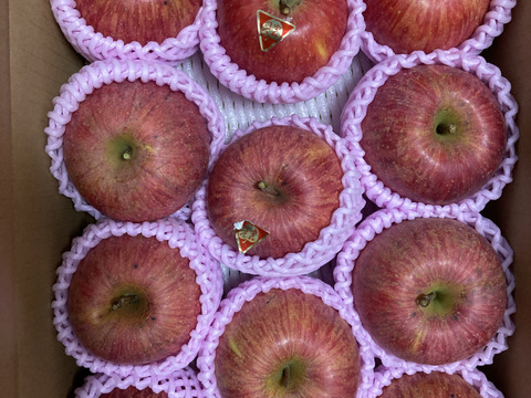 蜜入りりんごの代表格 サンふじ🍎 2箱同梱6kgセット 3キロ (9〜12玉)×2  ギフト 予約 りんご 農薬節減 さんふじ【11月上旬〜】
