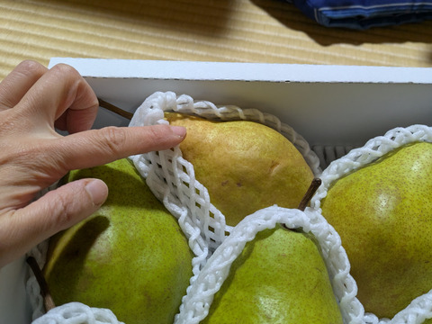 🍐【レア品種の訳あり】【絶妙な酸味で濃厚な味わい】『シルバーベル』 ３キロ 【西洋なし】【西洋梨】【山形県天童市産】【ご家庭用】