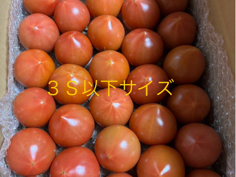 昔ながらのトマト🍅80サイズ箱詰め(3S以下玉)