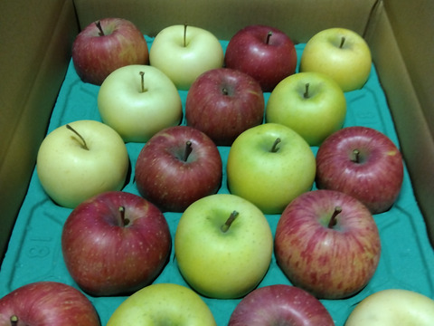 サンふじゴールド金星5キロ