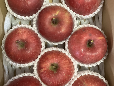 蜜入りチェック済！超大玉葉取らずスペシャル3キロ8玉葉取らず農薬半減栽培樹上完熟蜜入サンふじ　蜜ライトにて光を通すかチェックします！　りんご　農薬半減栽培で安心安全　　すぐ発送‼️限定1