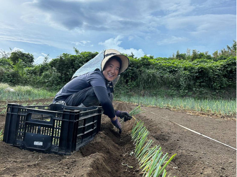 【有機JAS】甘味が乗った！南阿蘇産オーガニック白ネギ（サイズ混合2kg・約25本）