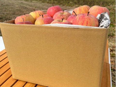 🍐ラ・フランス、ふじりんご🍎　ご家庭用　約５ｋｇ（１２～２５玉）