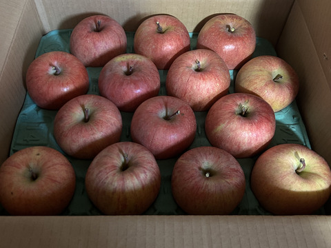 ＼12月10日まで／【個性溢れるりんごたち】『サンふじ』５キロ【１２〜２０玉入り】【家庭用】【訳あり】🍎山形りんご🍎