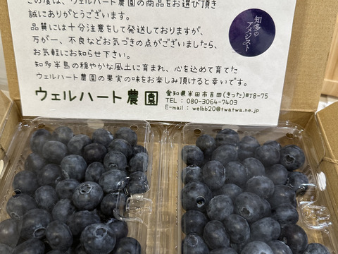 【2品種食べ比べ！】完熟生ブルーベリー250g×2パック