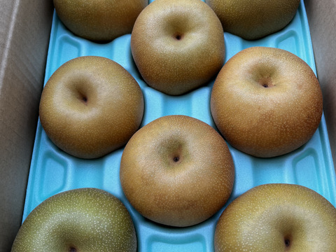 梨の季節が始まりますよ！！【香麗ｺｳﾚｲ】3kg