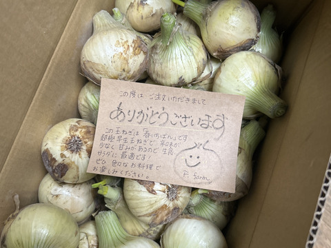 採れたて‼️淡路島産「新玉ねぎ🧅」約5kg
