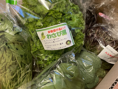 淡路島からの野菜4種❣️お任せセット(^-^)v❣️野菜セット