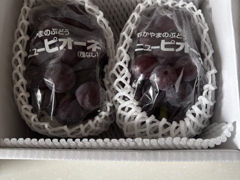 【なくなり次第終了】人気No.1！岡山産ピオーネ 2房｜種なし・大粒の産地直送で甘さたっぷりの美味しいぶどうをお届け