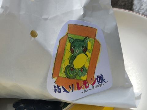 初物❗エコ箱入りレモン息子(栽培期間中農薬不使用・有機肥料・ノーワックス)皮まで食べて❗(2kg)