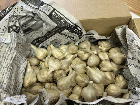 愛知県産新鮮ニンニク15キログラム 新物 北海道産にんにく【ホワイト六片】1.8kg：北海道産のその他