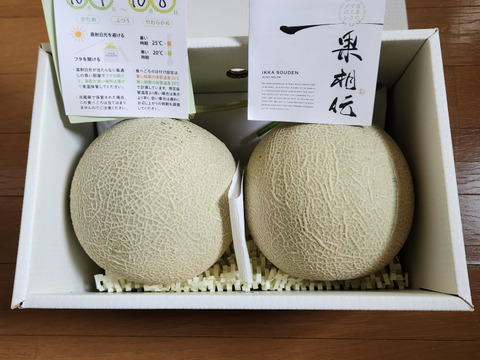 【緊急放出】外まで甘いマスクメロン2玉2.6kg箱入り（2玉で2.6kg以上）