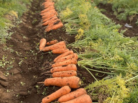 久松農園のにんじんジュース　200ml×8本