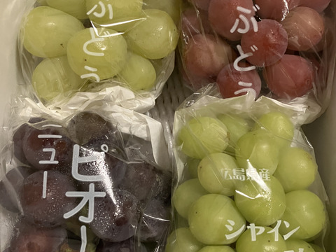 【カナダ人農園主の真心を込めた】食べ比べセット約２ｋｇ