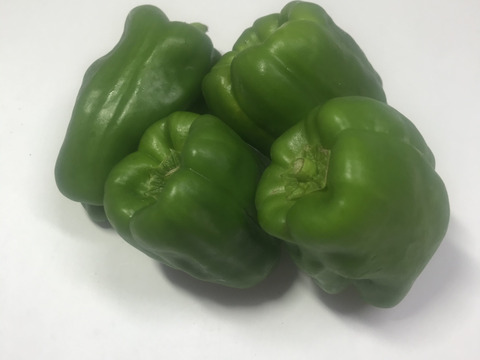 有機JAS認証　ピーマン500g