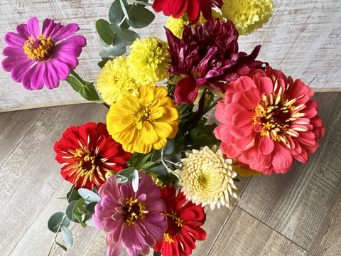 【ジニア&ダリア30本のもりもりブーケ】〜産地直送〜長く咲く幸せの花「百日草」とダリアが毎日に明るさと笑顔をプラスしてくれます。