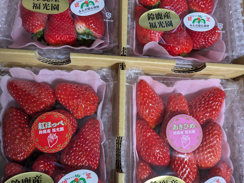 三重県オリジナル品種【うた乃】を中心に、章姫、紅ほっぺ、よつぼし、かおり野、3品種を選抜した食べ比べセット(品種は選べません。その日、状態の良い品種を選抜します。)1箱1.0kg~1.2kg