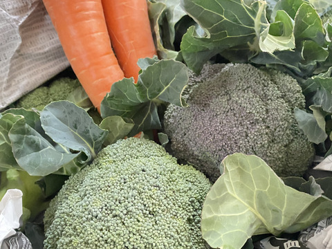 赤城の寒締めブロッコリー！６コ入り(約1.9kg）※化学農薬不使用