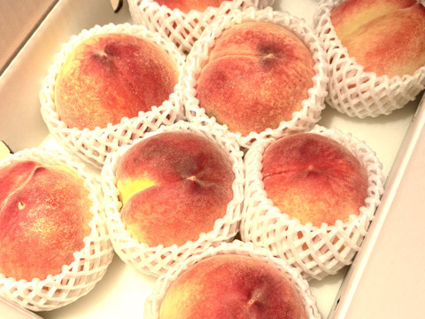 終了 山梨県産 浅間白桃 大藤の『浅間白桃』山梨県産 特秀品 約1.5kg (5〜7玉) 化粧