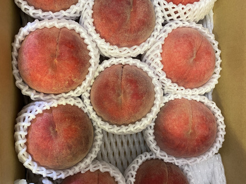 昨年3500件発送うまいっ！【川中島白桃！！】3kg(約6-11玉）【夏ギフト】