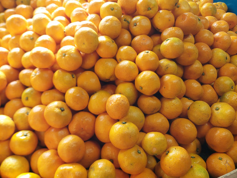 有田みかん【サイズ混合】3kg (箱込)