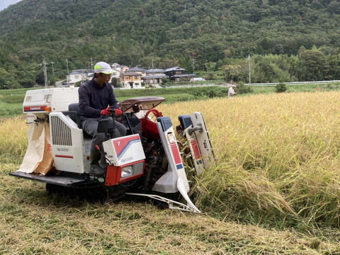 《お得❗️》農薬を使わないお米　コシヒカリ15kg【白米】