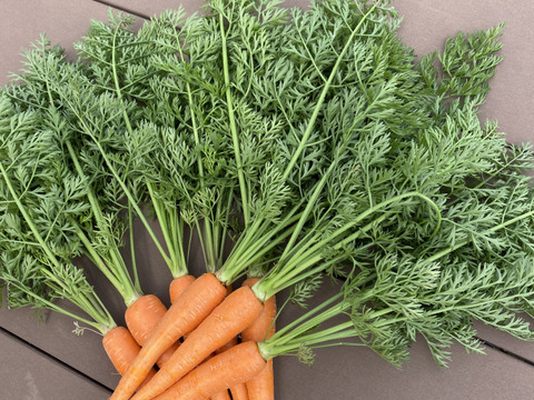 はぴぱら産の甘い葉付きにんじん🥕(1kg)