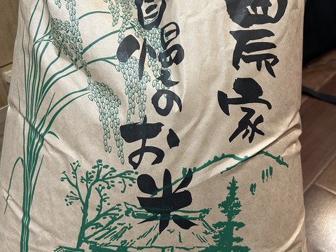 2026年新米コシヒカリ精米20kg予約販売です！：福井県産のコシヒカリ