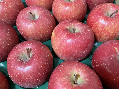 葉とらずサンふじ５キロ家庭用