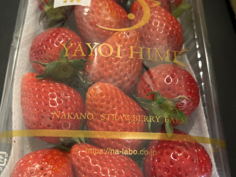 ＜子供の日や母の日のギフトにもおすすめ♪＞味が濃厚でひときわ甘い【やよいひめ】群馬県産完熟いちご「やよいひめ」300g×2パック ギフトセット🍓群馬県いちご品評会W受賞！