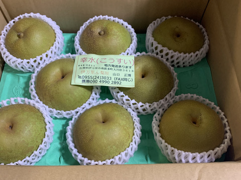 甘～い幸水梨、3キロダンボール箱🍐6～10玉入り　発送中