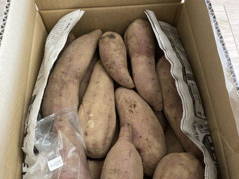 ラスト5箱‼️栗のような甘さとホクホク食感❗️さつまいも千葉県香取市産【紅あずま】4.8kg S〜Lサイズ混合