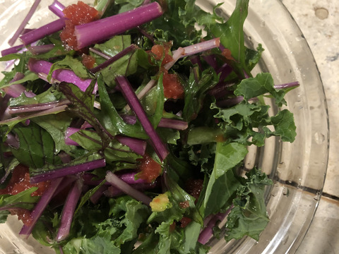 【贈り物にも！】菊芋入り/彩り豊かな野菜の秋冬野菜10種類前後/めずらしい野菜も入ってるかも？【農薬・化学肥料不使用】