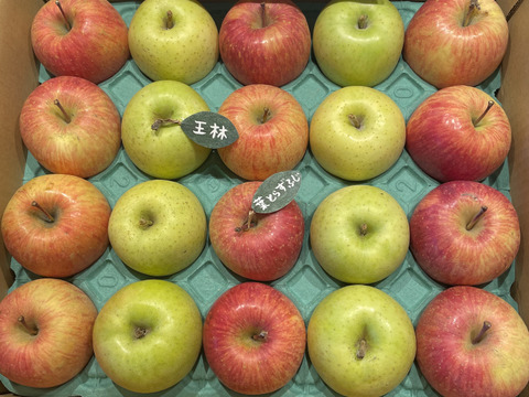 ★★新春セール★★【食べ比べ】🍎葉とらずふじ🍏王林（家庭用１３～２０玉）約５キロ　ID124974