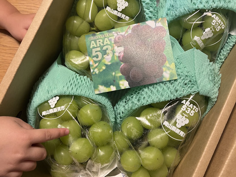 岡山県新見市産 標高の高い畑で作った大粒！味の濃い！シャイン