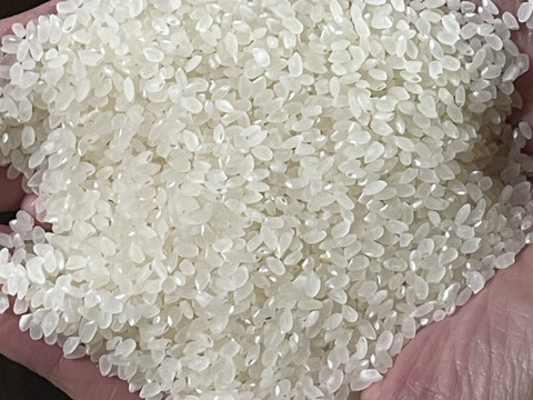 令和7年新米低農薬広島県産あきさかり10kg 精米済