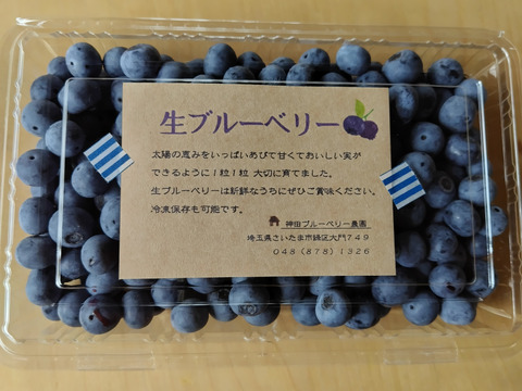完熟 生ブルーベリー 2kg
甘くてパクパク食べちゃう(^-^)