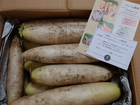 鹿児島県産　大根　10kg