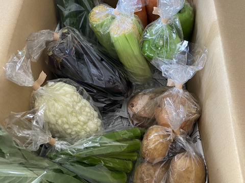 Lサイズ ＊旬野菜セット(約10~11品)【農薬：栽培期間中不使用