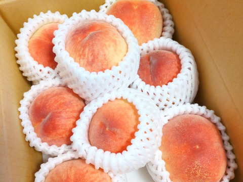 【すぐ発送！🍑山梨日川白鳳】約2キロ！中サイズ8〜9個でお届け！一度食べたら忘れられない  その時期一番おいしい品種をお届け【品種おまかせ】