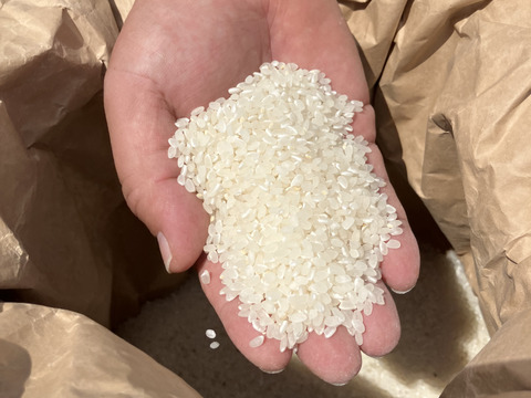 新米 令和6年産「夢つくし」(玄米5kg) 農薬・除草剤不使用の