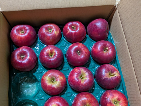 人気の紅玉!!家庭用🍎約4.5Kg　そのままお召し上がり可能。スイーツ、お菓子　青森県産　りんご　リンゴ　林檎　せなり