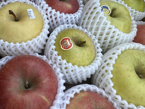 そのまんま「わんぱく箱」約5kg箱　12〜18玉入