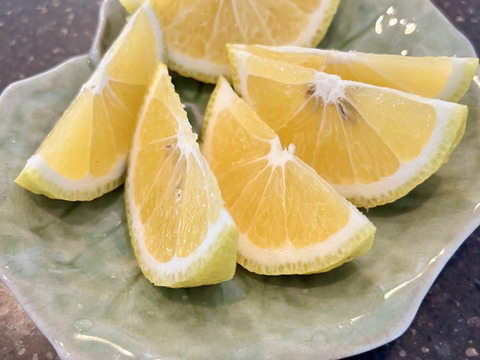 初春の柑橘食べ比べ❗️『清見タンゴール』と『はるか』大玉　2kg（各1kg）ご家庭用