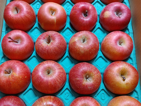 かわいい完熟サンふじ　「小玉ちゃん」　丸かじりサイズ　5キロ箱コース（18個から23個入り）ご好評販売中