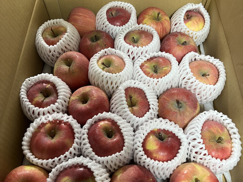 ☆お子様も1玉ペロリ☆小さなサンふじ　4.5kg
F.soto4.5㎏