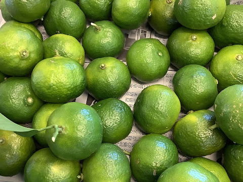 【猫丸様専用】秋のスペシャルセット